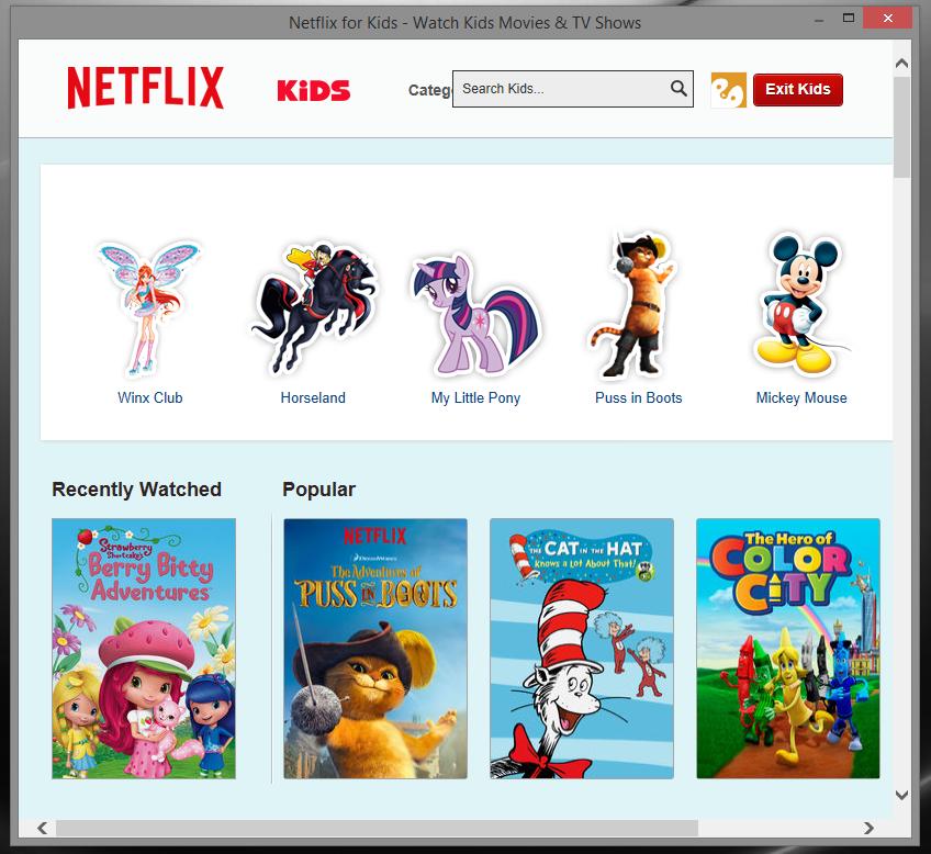 Netflix Browser 1.16 software screenshot