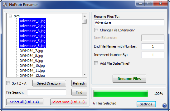 NoProb Renamer 1.1 software screenshot