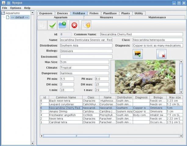 Nyagua 4.0.1 software screenshot