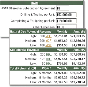 Oil & Gas Investment Calculator 2.2 software screenshot