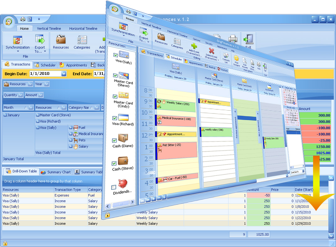 OrgFinances for Workgroup 2.6 software screenshot