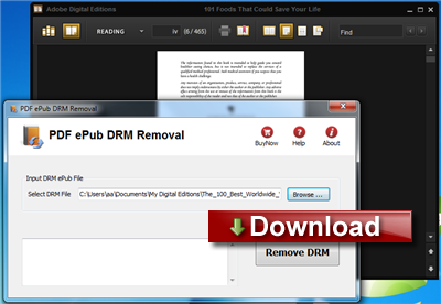 PDF ePub DRM Removal 4.16.506.365 software screenshot