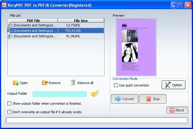 PDF to PDF/A Converter v2.0 software screenshot