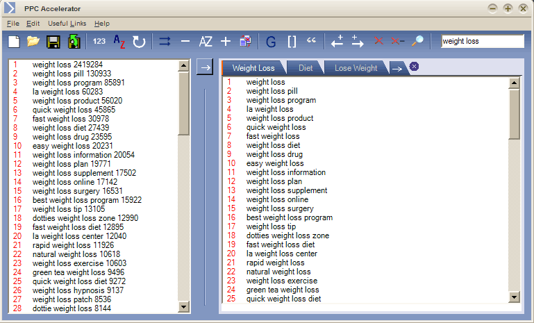 PPC Accelerator 1.1 software screenshot