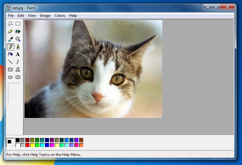 Paint XP 1.5 software screenshot