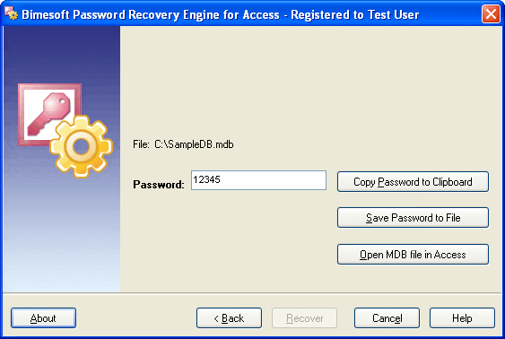 Password Recovery Engine for Access 1.2 software screenshot