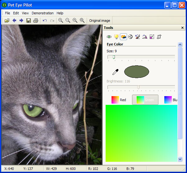 Pet Eye Pilot 3.9.1 software screenshot