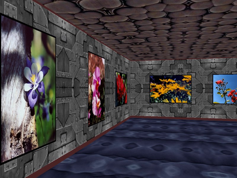 Phota Flowers Screensaver 3.9 software screenshot