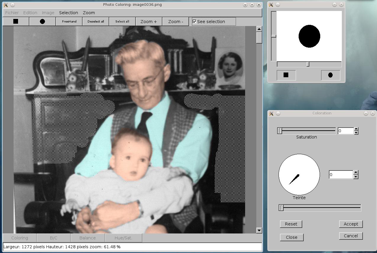 Photo Coloring 0.4 software screenshot