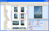 Photo Printer 1.01 software screenshot