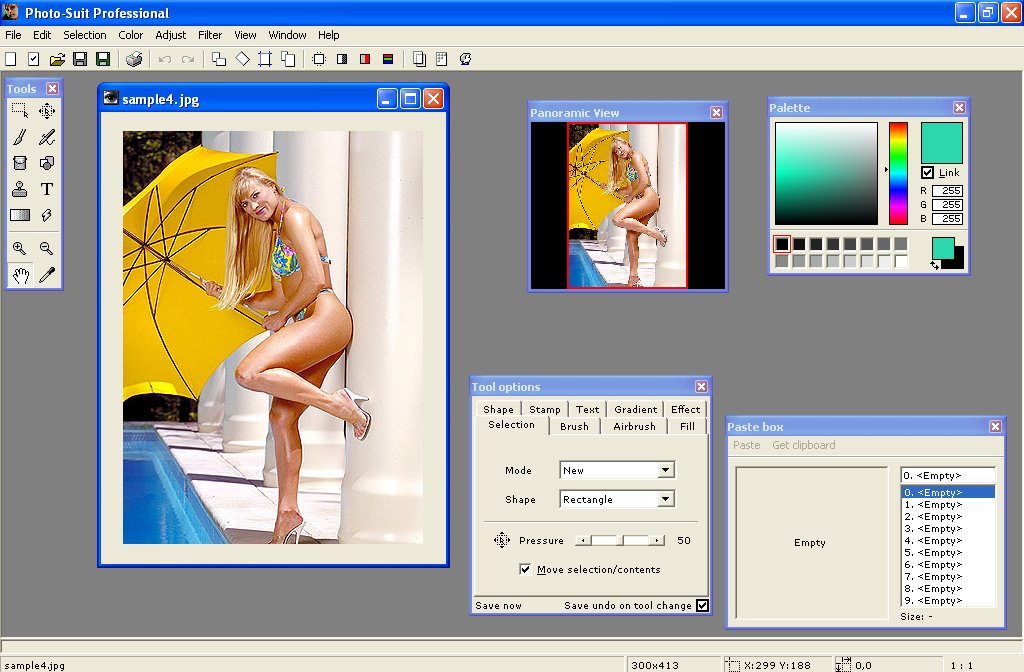 Photo-Suit Professional 4.0.21 software screenshot