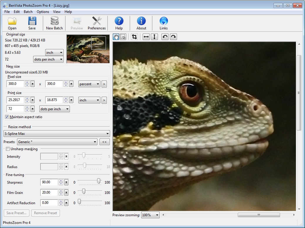 PhotoZoom Pro 4 4.1.2 software screenshot