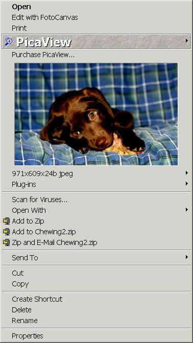 PicaView 2.0 software screenshot