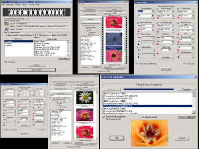 Pics Organizer 1.6 software screenshot