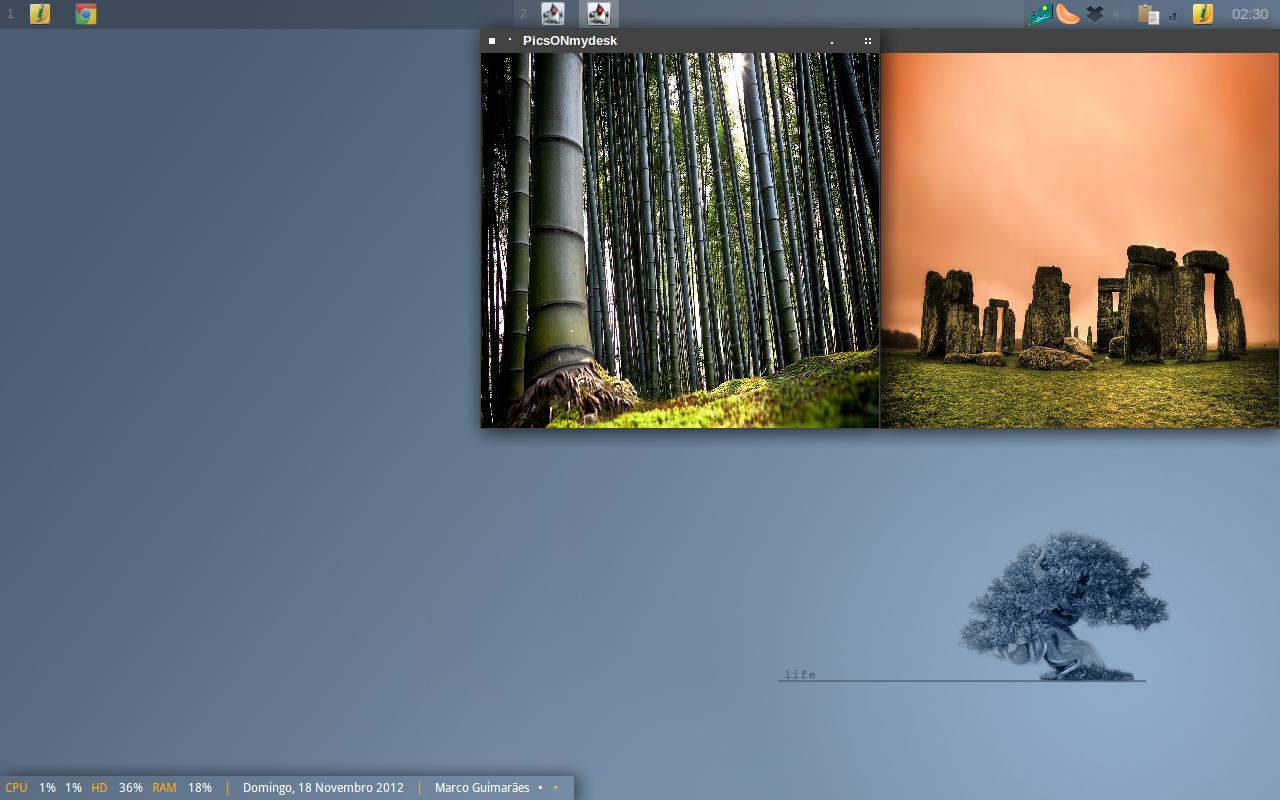 PicsONmydesk 1.1.0 software screenshot