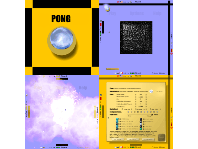 Pong Project 1.2 software screenshot