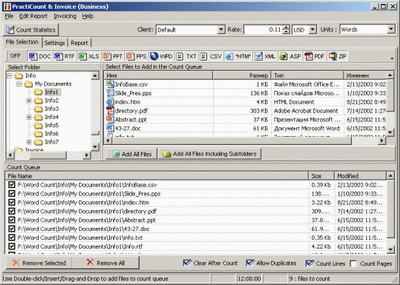 PractiCount and Invoice 2.4 software screenshot