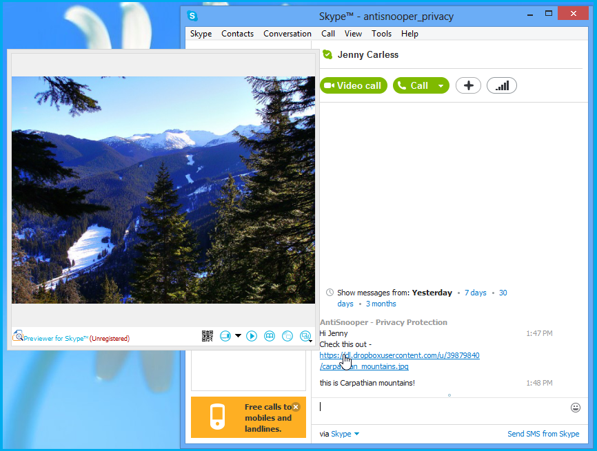 Previewer for Skype 1.1 software screenshot