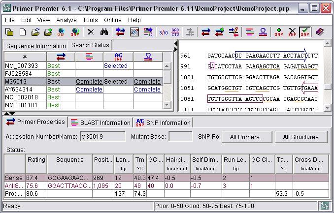 Primer Premier 6.21.62201 software screenshot