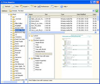 Print Maestro 3.0 software screenshot