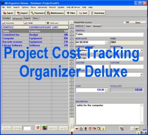 Project Cost Tracking Organizer Deluxe 4.0 software screenshot