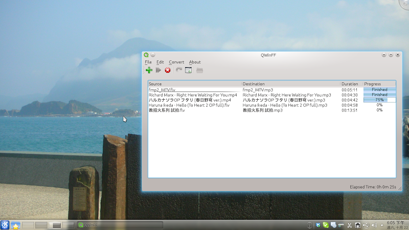 QWinFF Portable 0.2.1 software screenshot