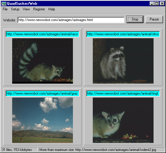 QuadSucker-Web 3.4 software screenshot