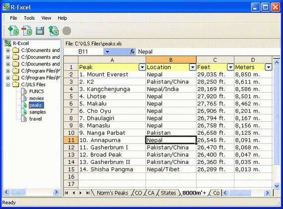 R-Excel Recovery 1.2 software screenshot