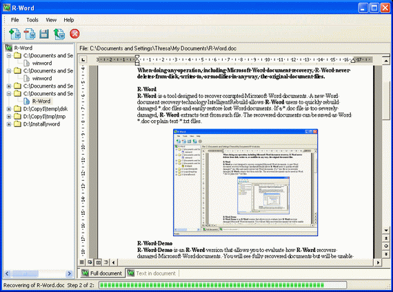 R-Word Recovery 2.0.789 software screenshot