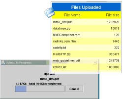 Rad Upload Lite 3.10 software screenshot
