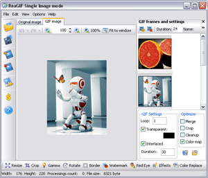 ReaGIF convert to GIF 2.3 software screenshot