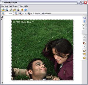 ReaWatermark 2.1 software screenshot