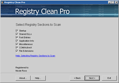 Registry Clean Pro 1.0 software screenshot