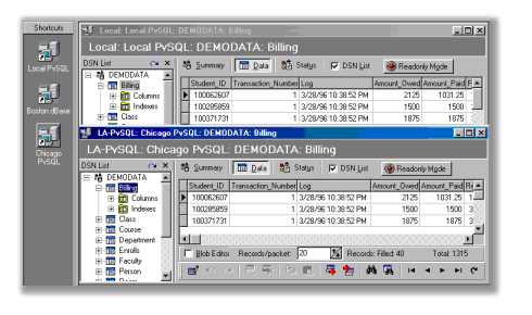 Remote dbProfessional 2.0 software screenshot