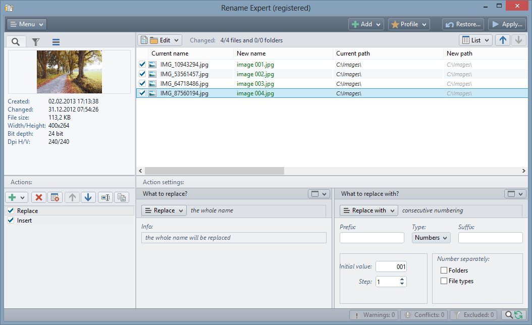 Rename Expert 5.12.4 software screenshot