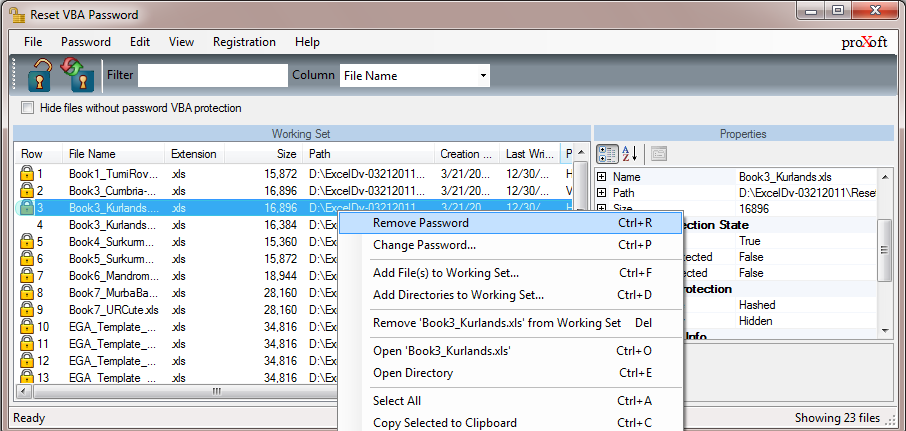 Reset VBA Password 6.17.01.08 software screenshot