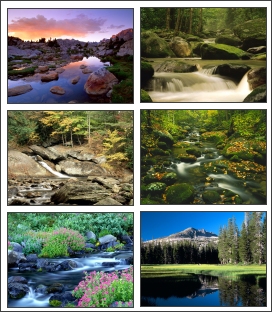 River Scenery Screensaver 1.0 software screenshot