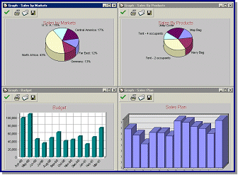 Rosetta Business Planner 8.2 software screenshot