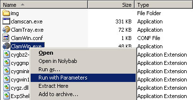 RunWithParameters 2.1.6 software screenshot
