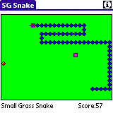 SG Snake for PALM 3.0 software screenshot