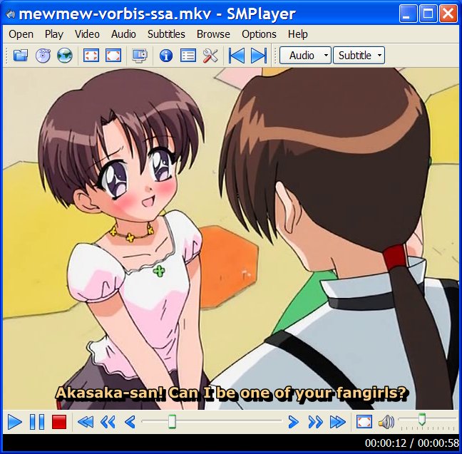 SMPlayer 17.5.0 software screenshot