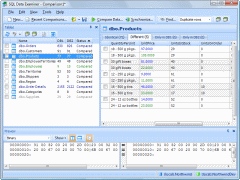 SQL Data Examiner 2010 R2 4.1.0 software screenshot