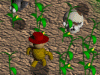 Scarecrow: Heart Of Straw 1.0 software screenshot