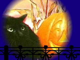 Screechy Cat Halloween Wallpaper 2.0 software screenshot