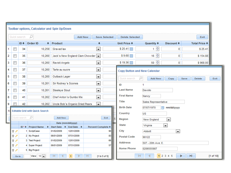 ScriptCase 9.0.005 software screenshot