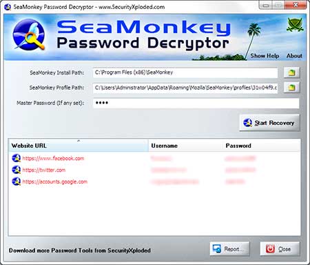 SeaMonkey Password Decryptor 3.0 software screenshot