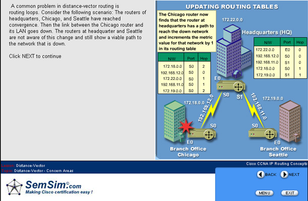 SemSim CCNA Training Course 2.2.1 software screenshot