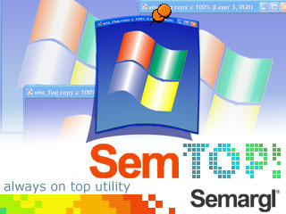 SemTop! 3.0 software screenshot
