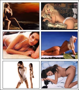 Sexy Models Wallpaper Screensaver 1.0 software screenshot