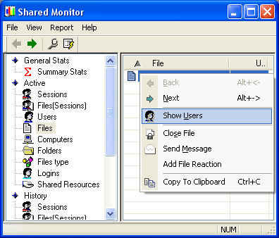 Shared Monitor 1.1 software screenshot